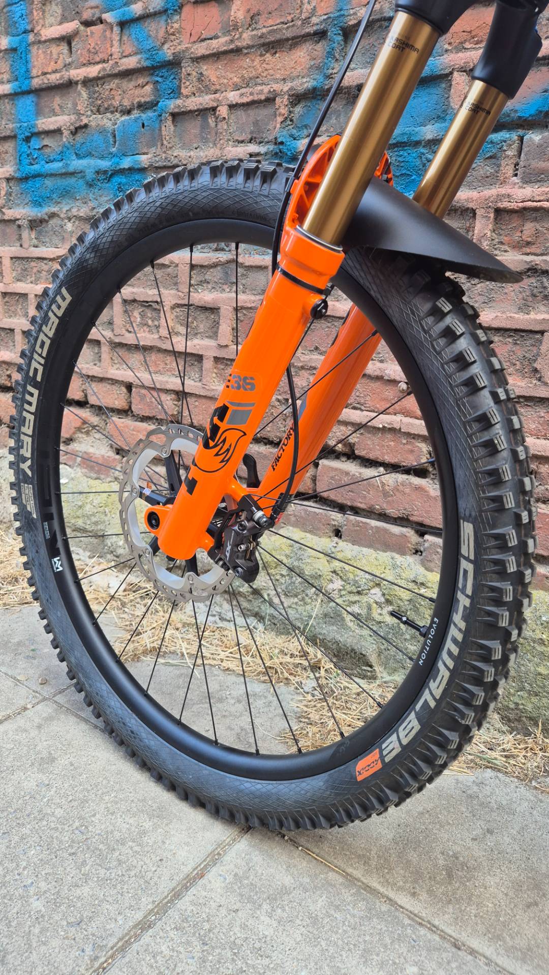 Bike view 10