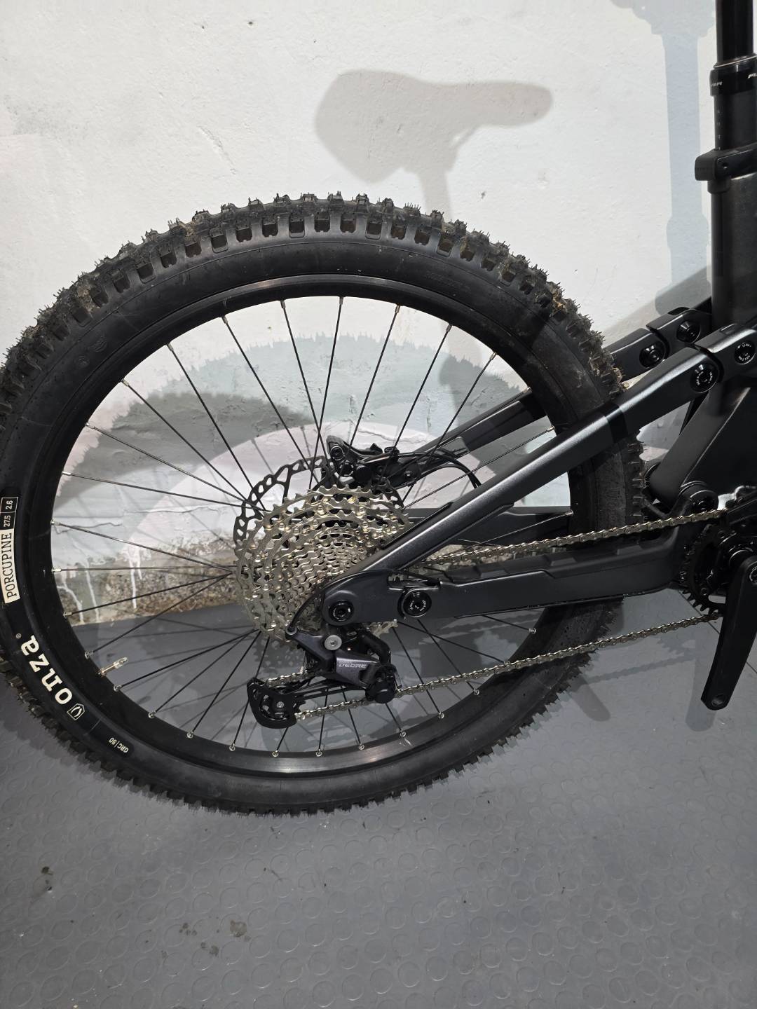 Bike view 5