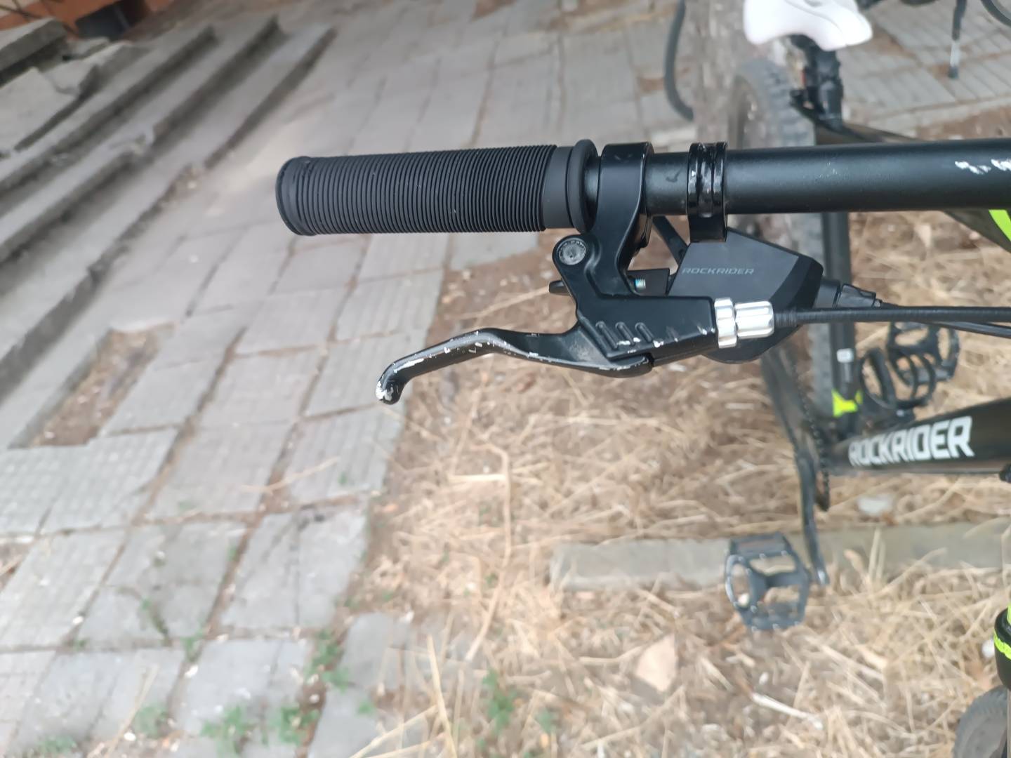 Bike view 12