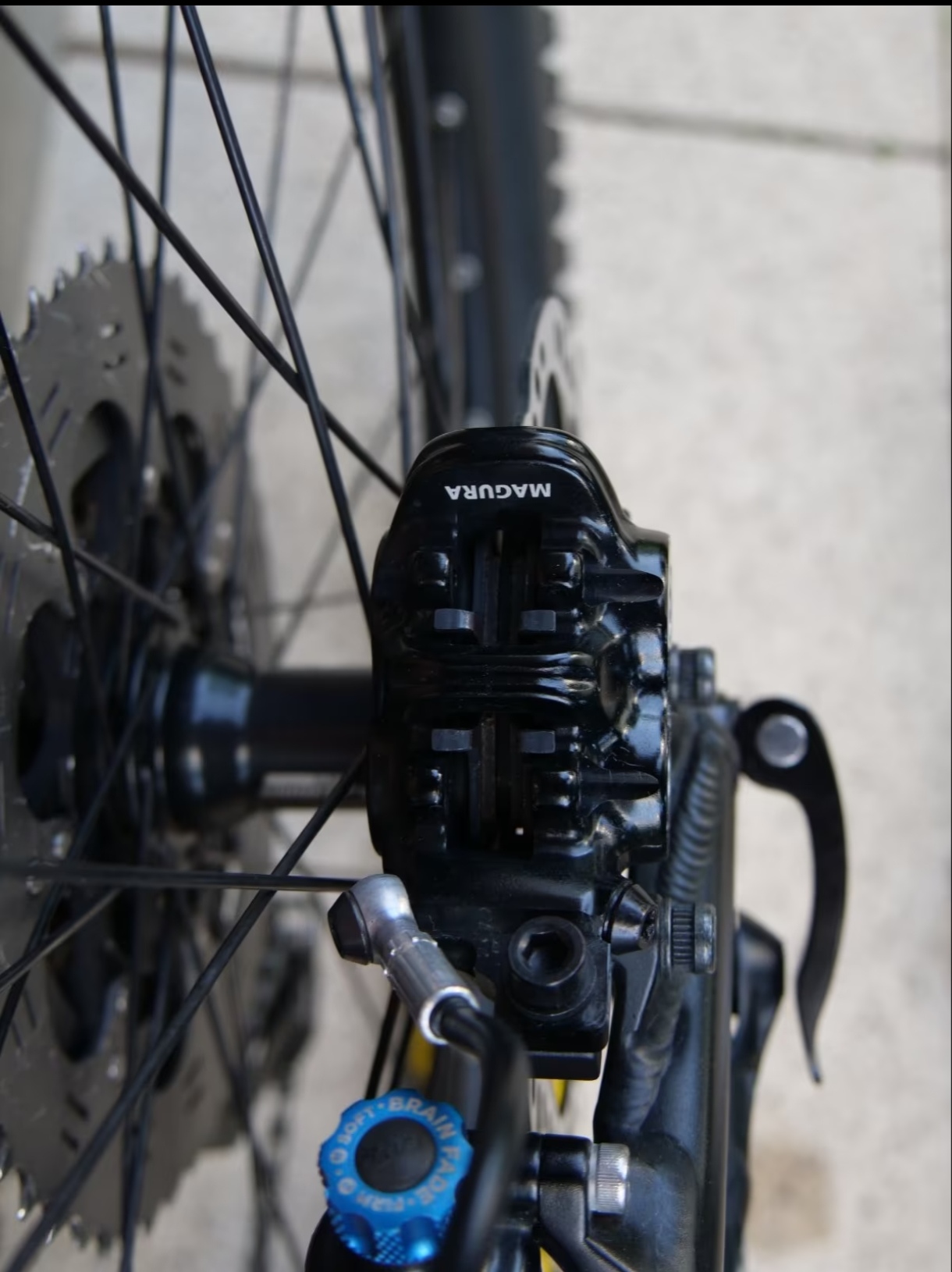 Bike view 7