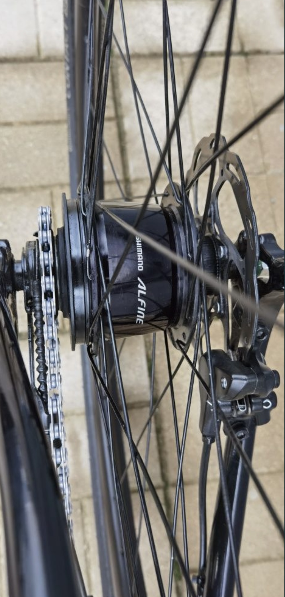 Bike view 7