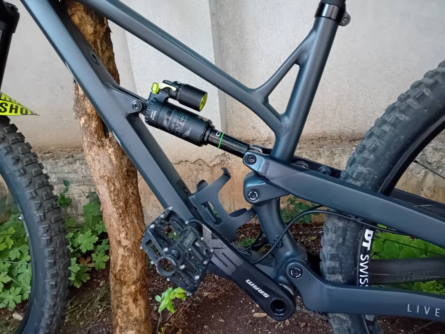 Bike view 9