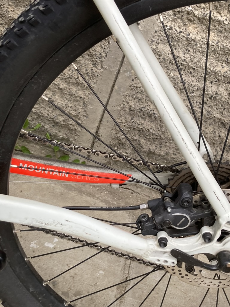 Bike view 11