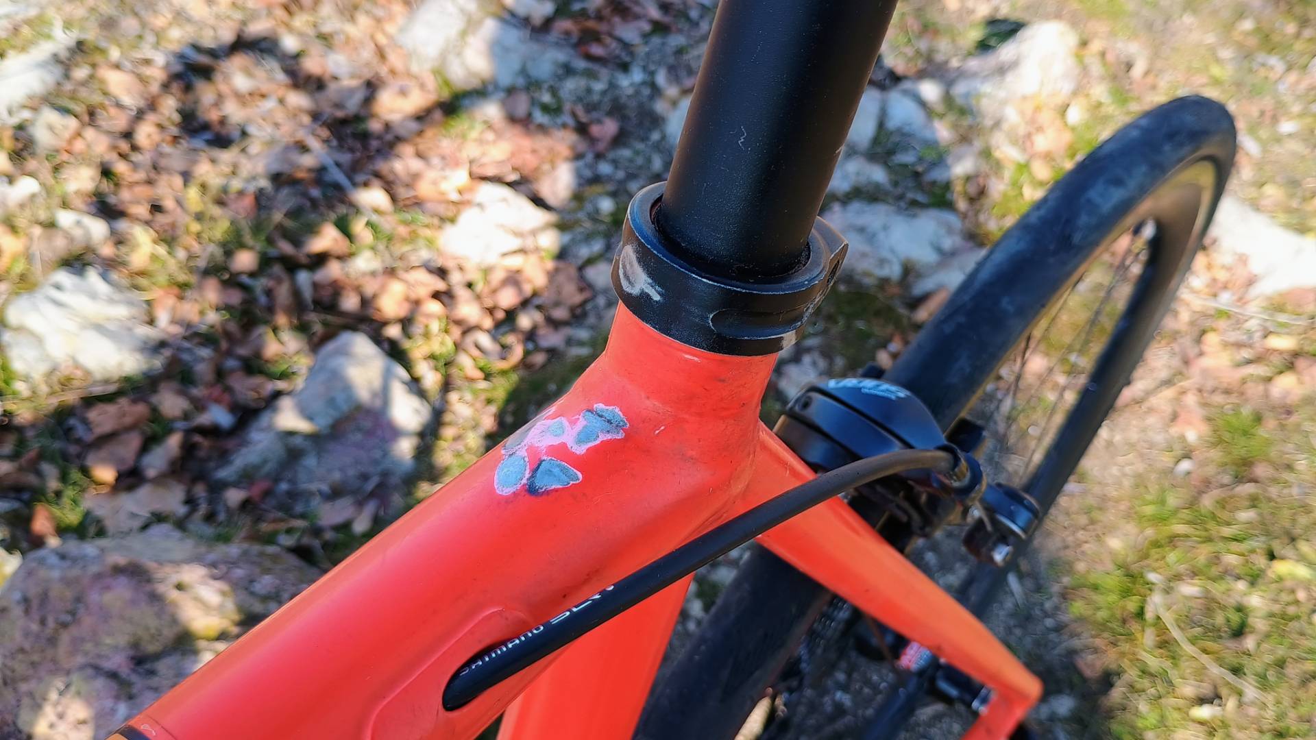 Bike view 9