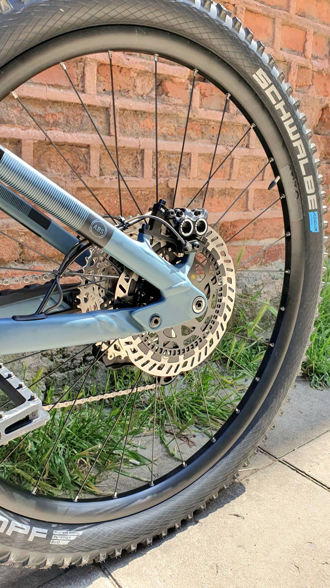 Bike view 8