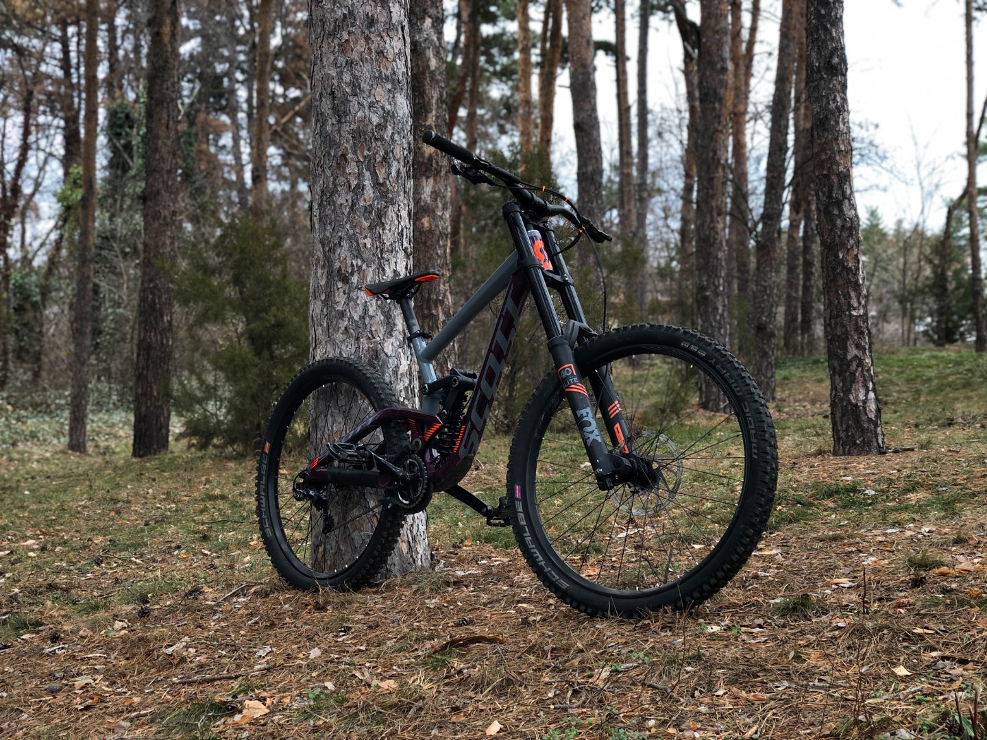 Scott Gambler 720