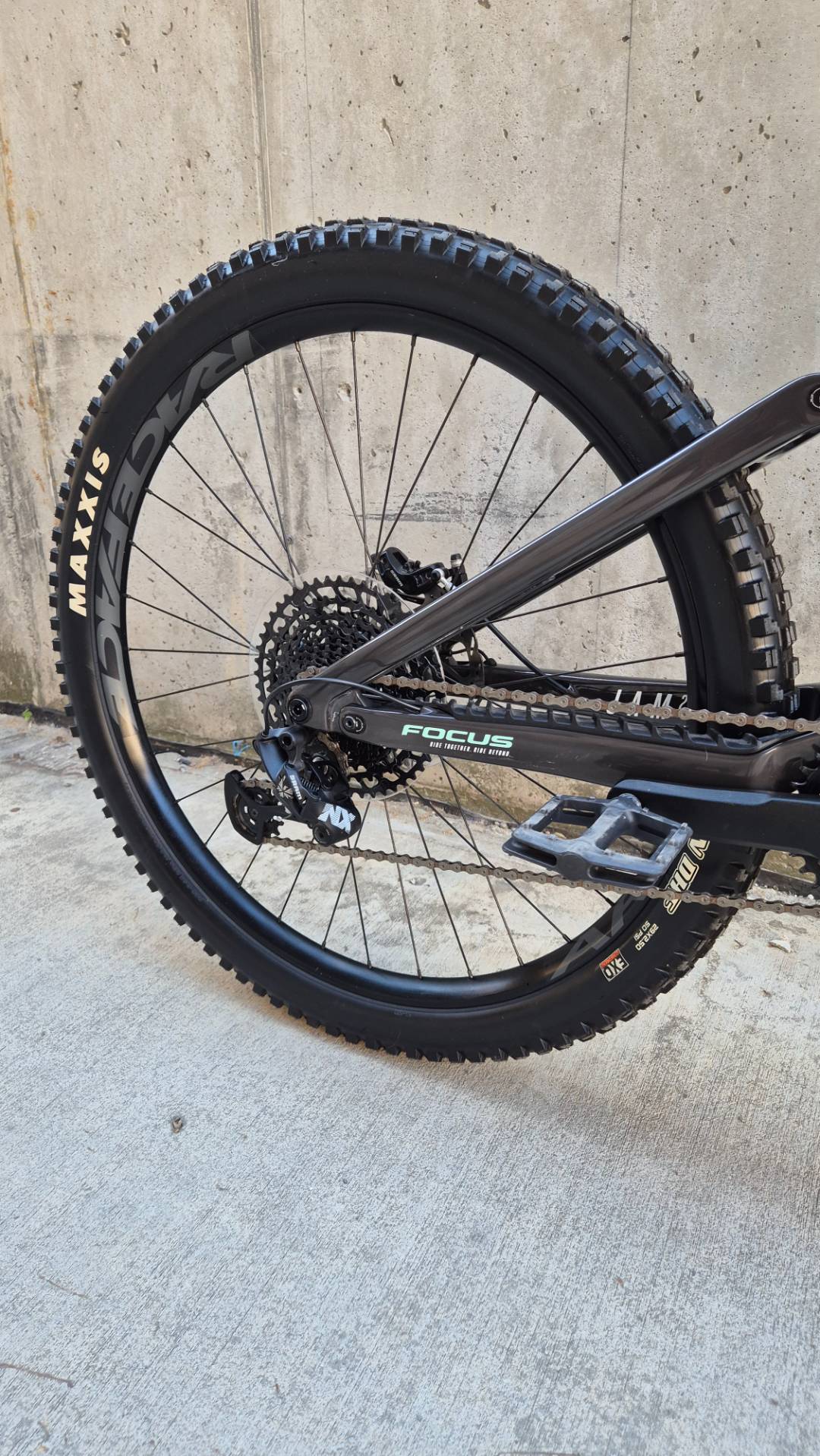 Bike view 9