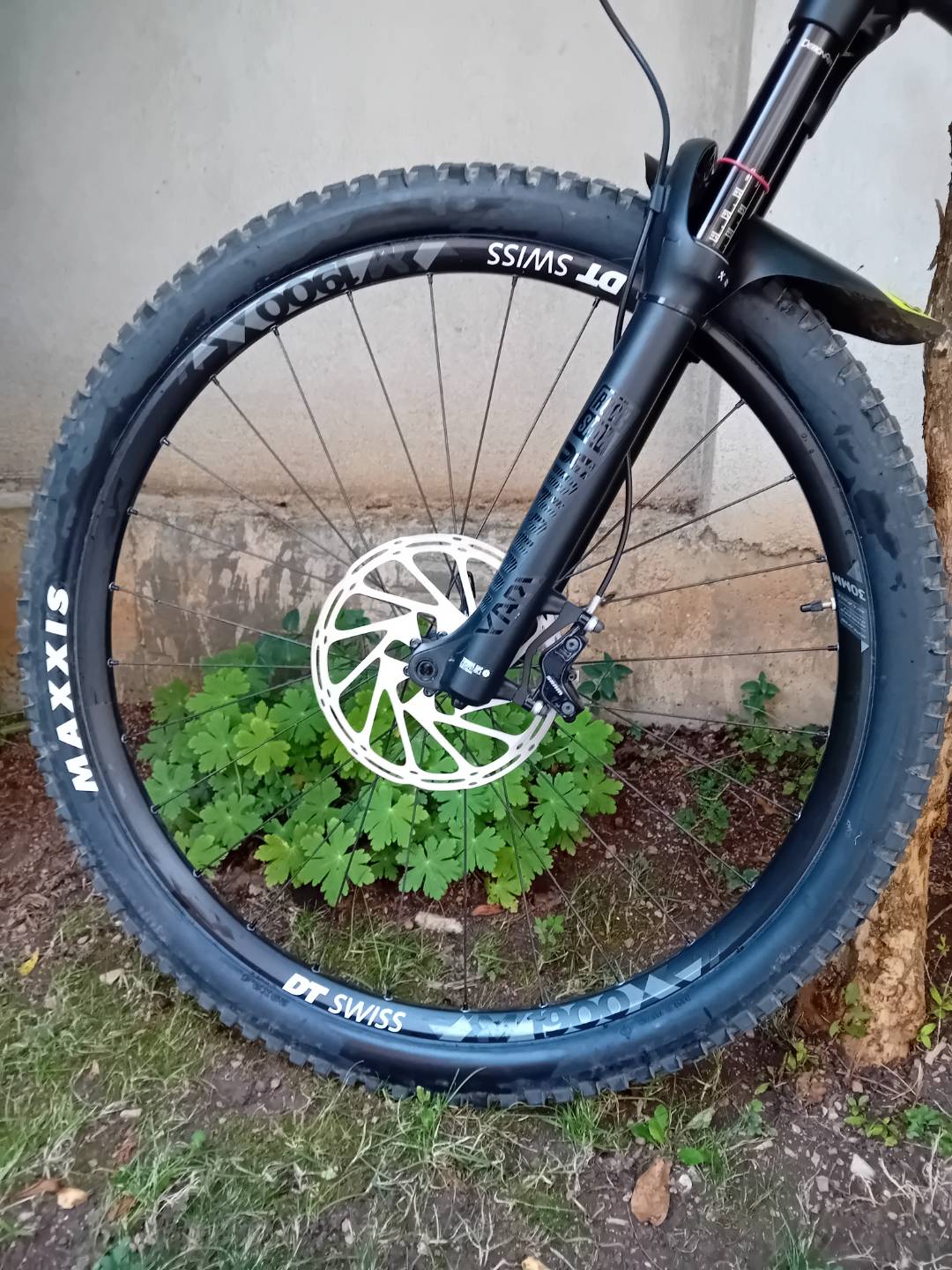 Bike view 3