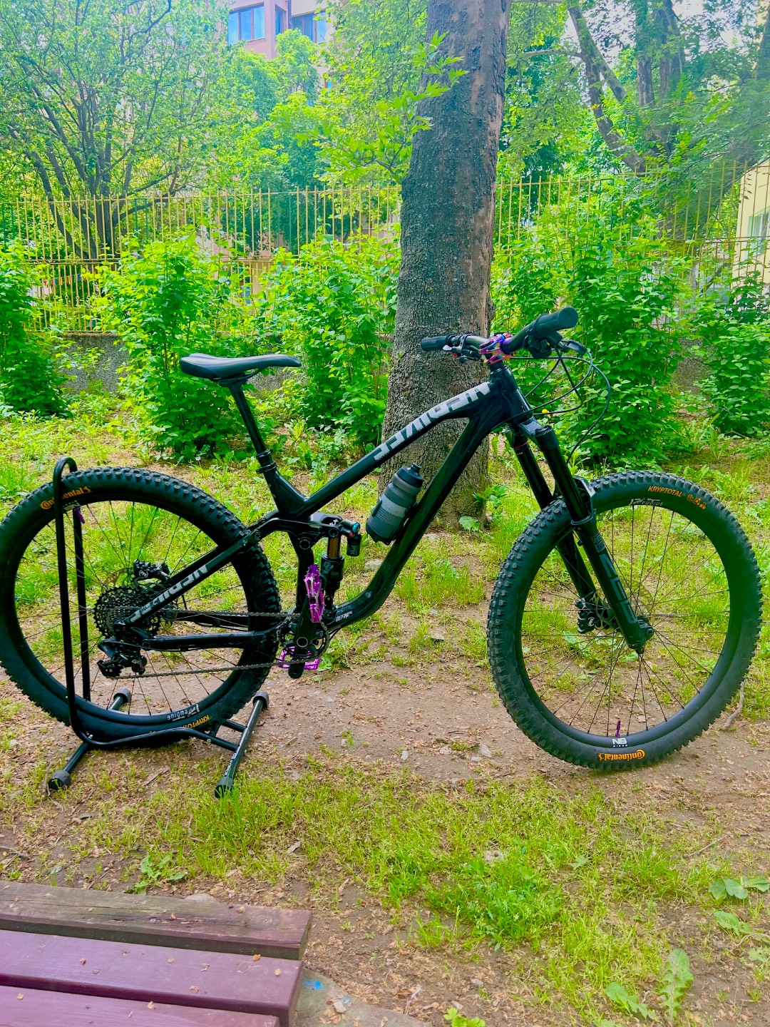 NS Bikes Delfine al 130 custom