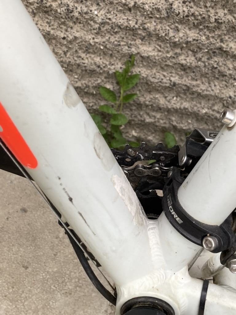 Bike view 10