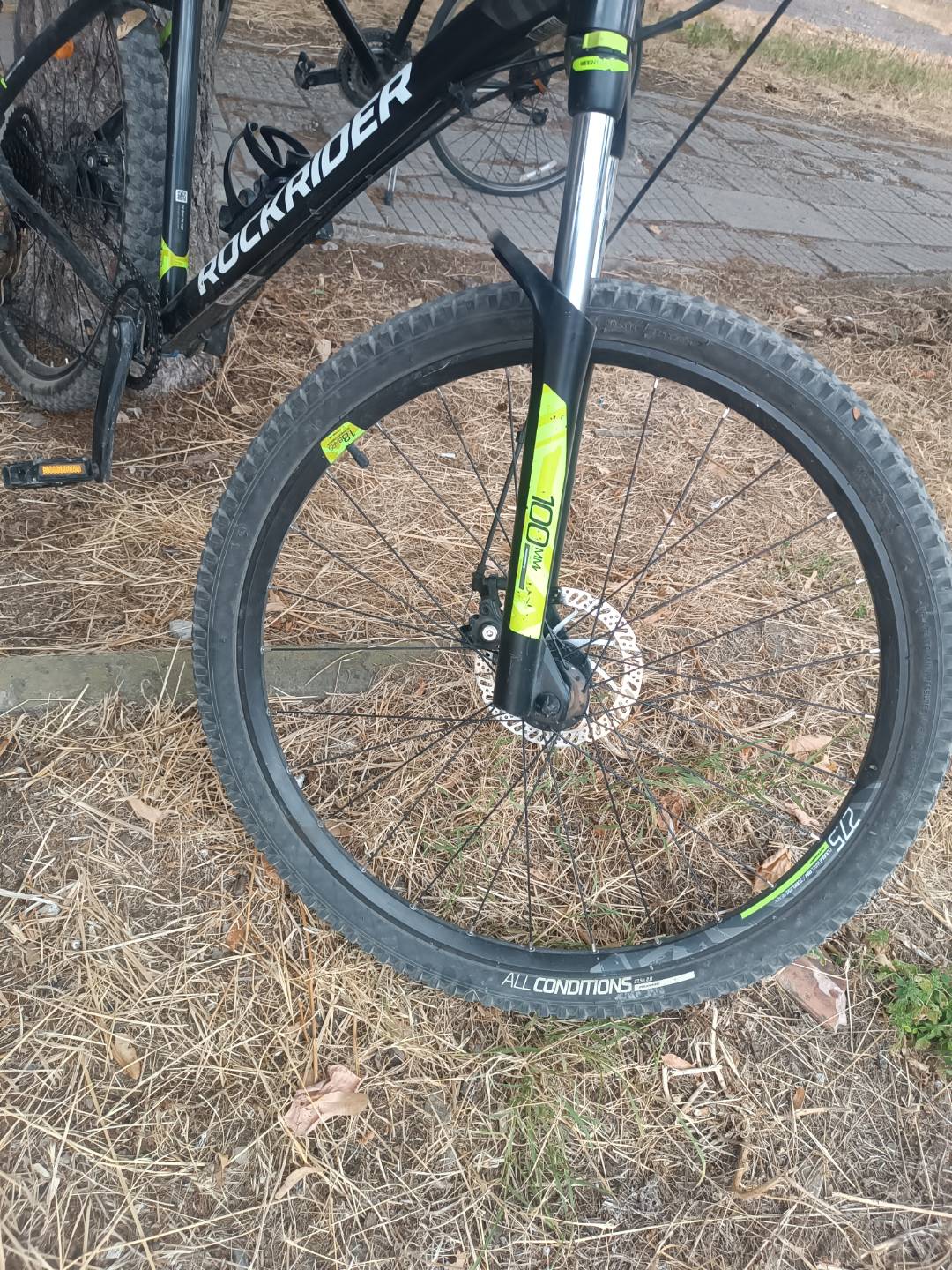 Bike view 5