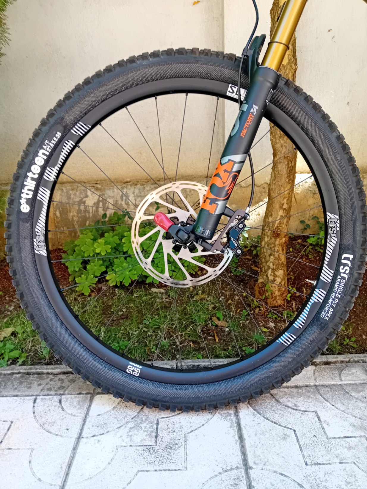 Bike view 10