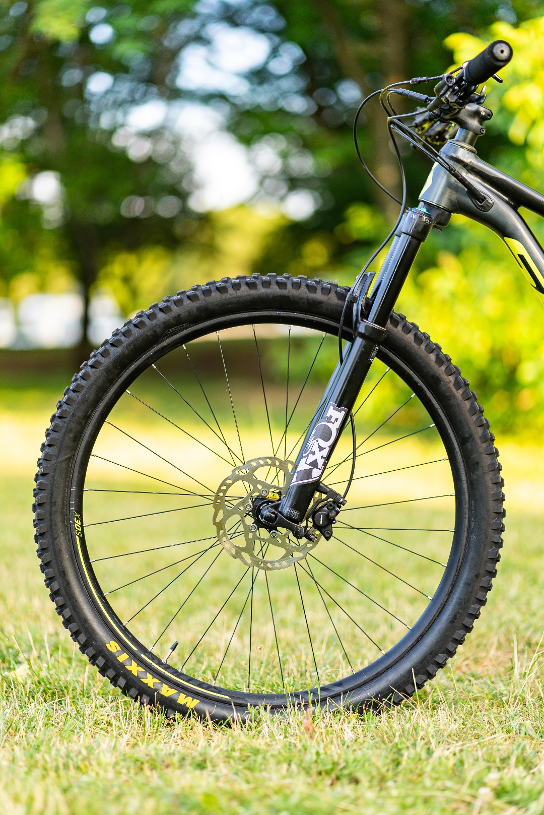 Bike view 8