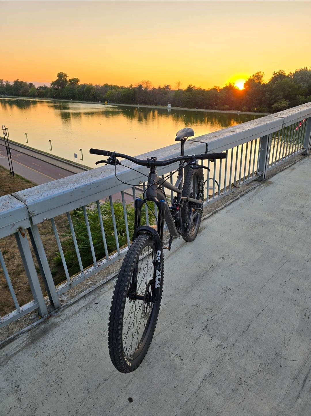 Bike view 7