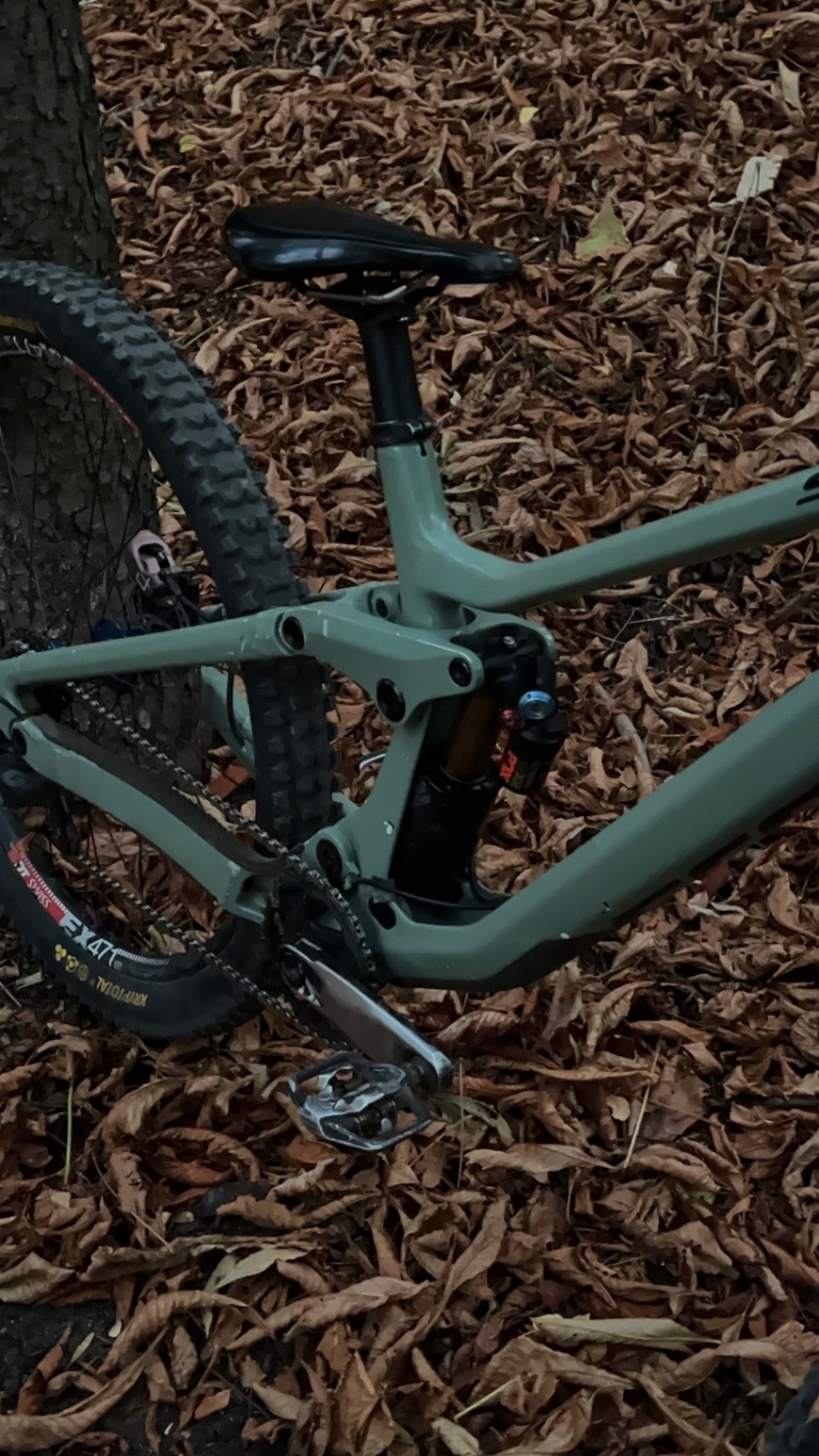 Bike view 5