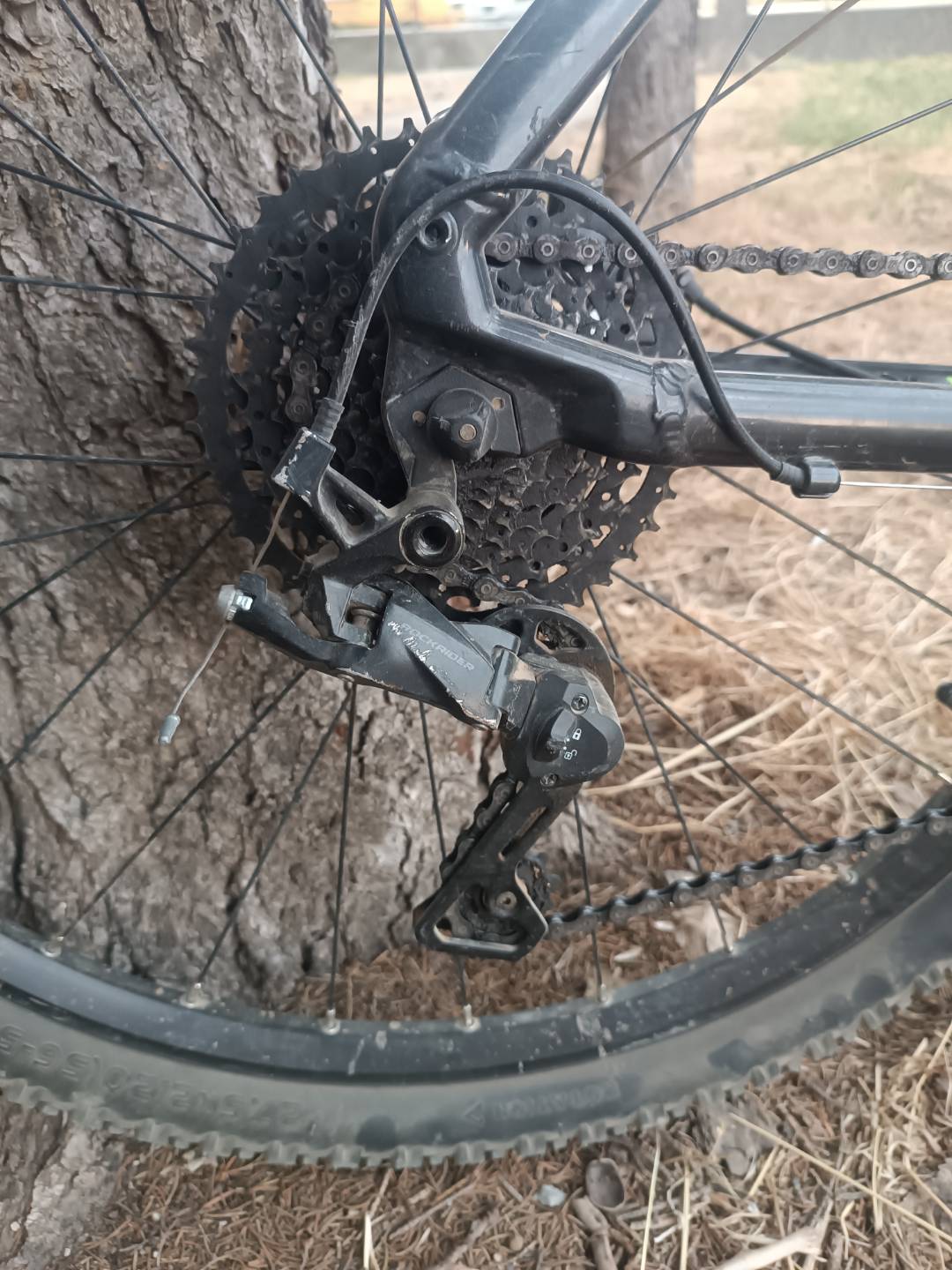 Bike view 2