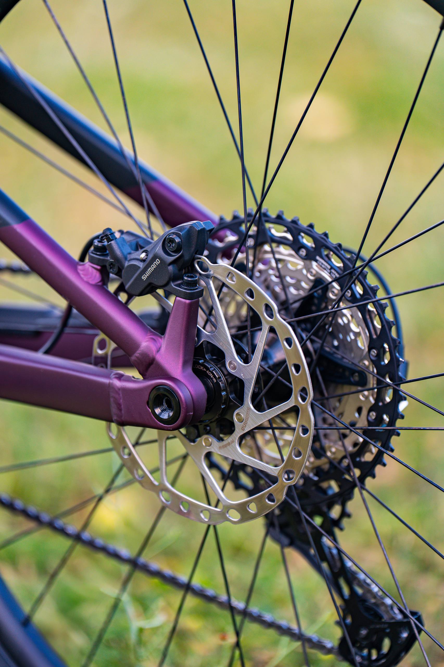 Bike view 8