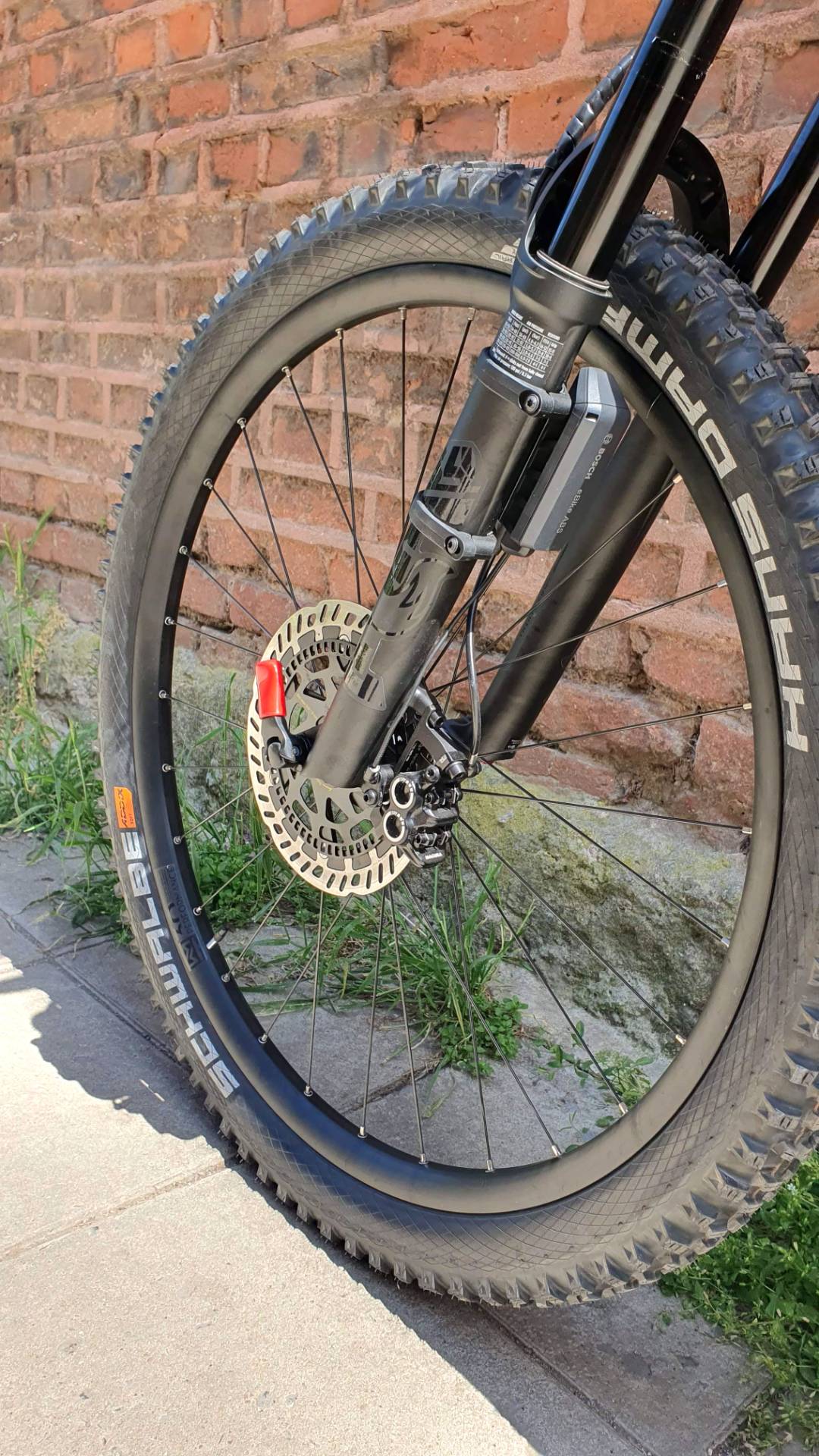 Bike view 10