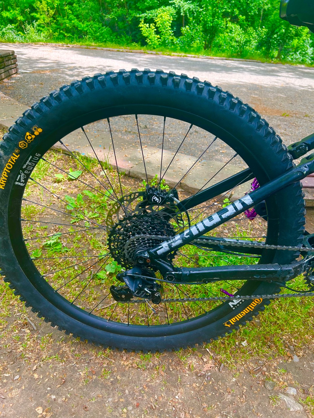 Bike view 6