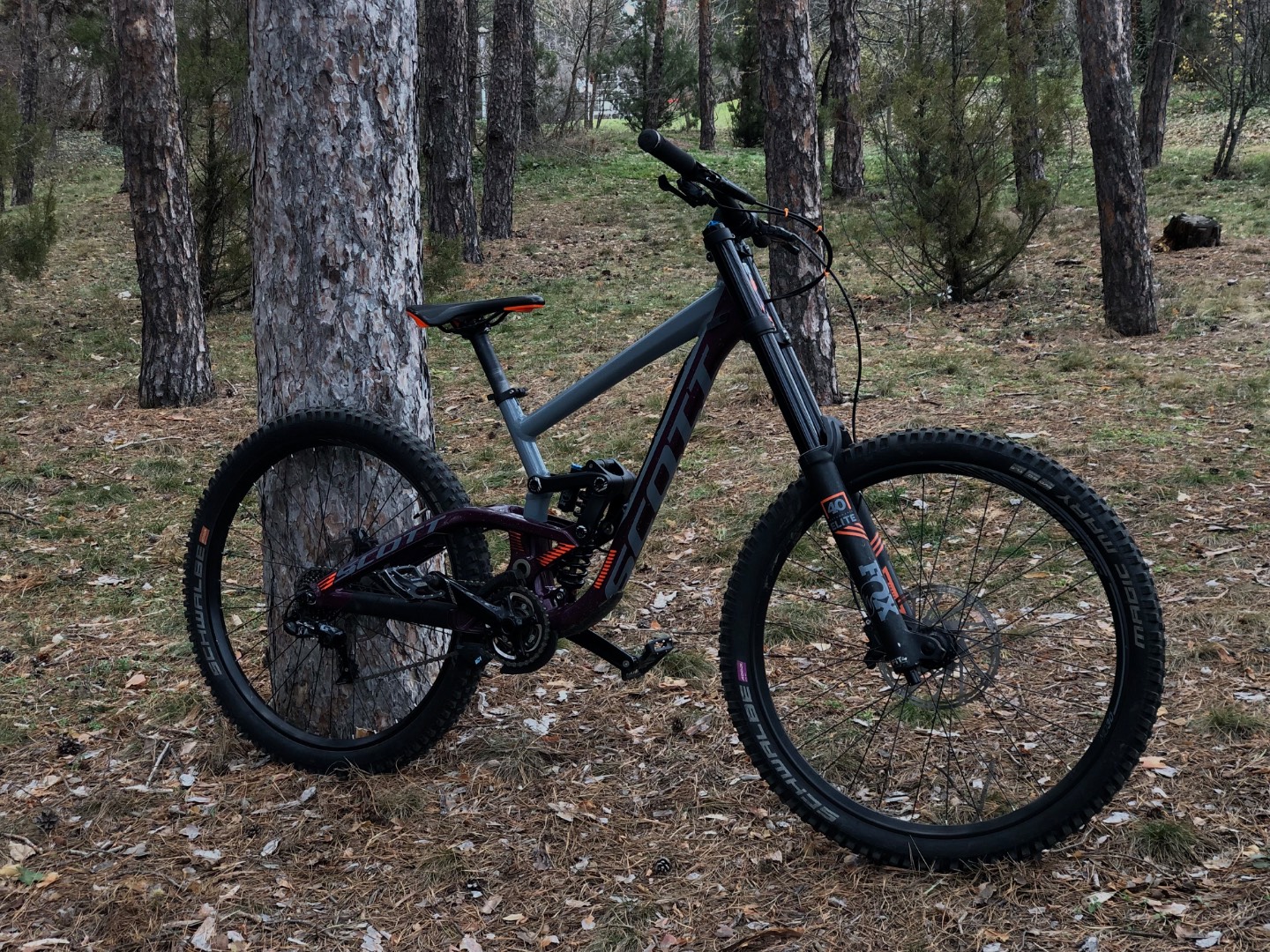 Bike view 2