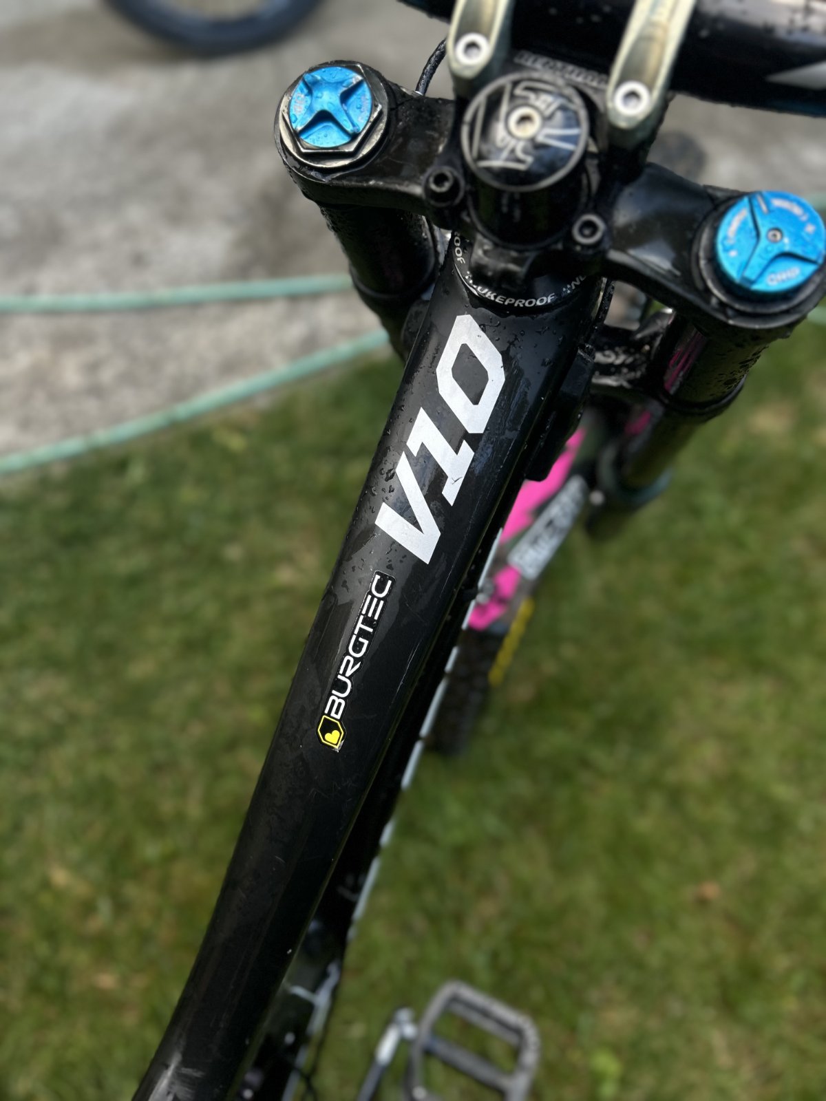 Santa Cruz v10